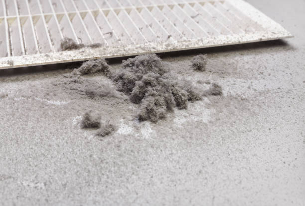 Best Affordable Duct Cleaning Services  in Wellston, OH
