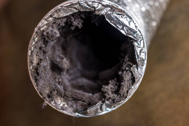 Best Affordable Duct Cleaning Services  in Wellston, OH